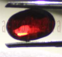 No Image Found
